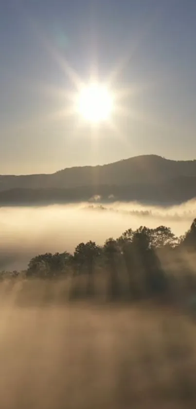 Wallpaper of sunrise over misty hills with sun rays illuminating the scene.