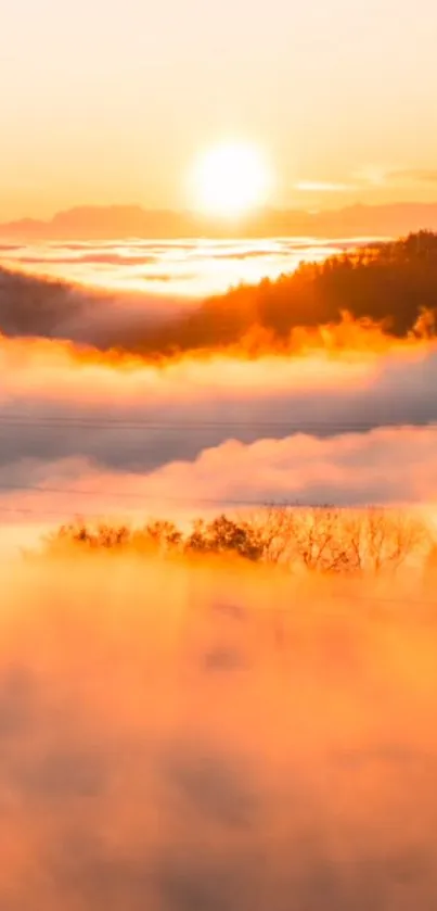 Serene sunrise over misty hills with golden light.