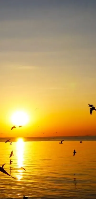 Sunrise over ocean with flying birds.