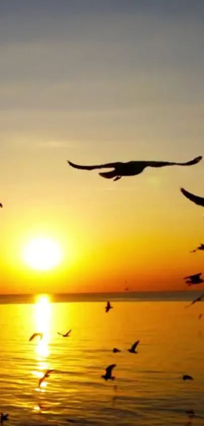 A serene sunrise over the ocean with flying seagulls captured in vibrant orange tones.