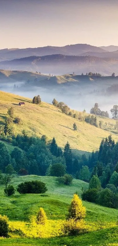 Serene landscape with sunrise over lush green hills and forest.