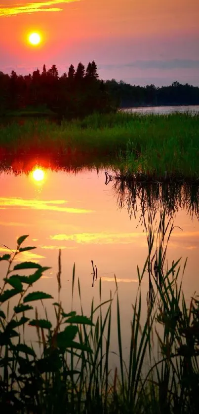 Sunrise reflecting over calm water with greenery.