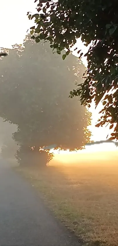 Misty sunrise with glowing pathway and lush trees.