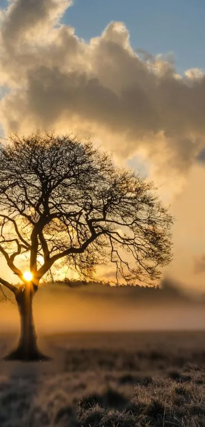 Lone tree at sunrise with a warm glow and frosty landscape.