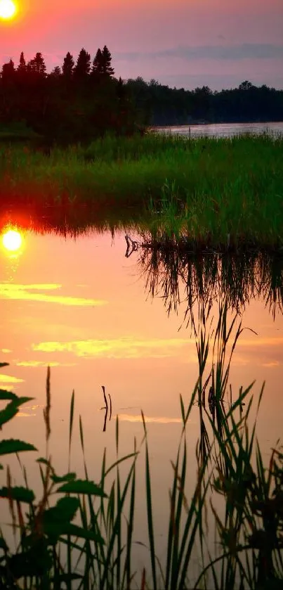 Serene lake reflecting vibrant sunset with lush greenery.