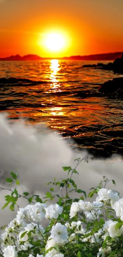 A beautiful sunset over the ocean with white flowers in the foreground.