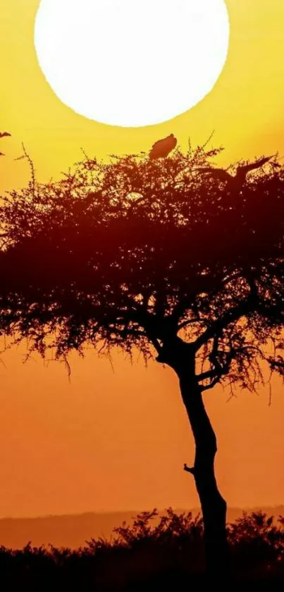 Vibrant sunset with tree silhouette on mobile wallpaper.