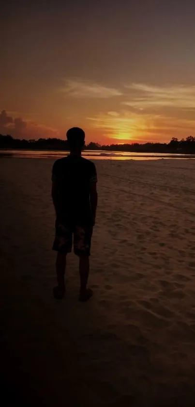 Silhouette of person at sunset on a serene beach.