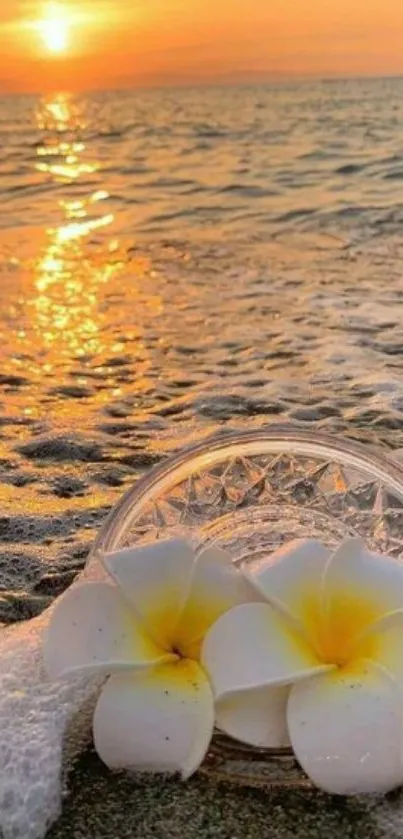 Beach sunset with plumeria flowers and ocean waves.