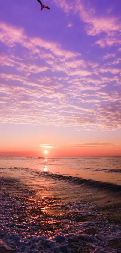 Serene lavender sunset over beach waves, with a bird flying above.