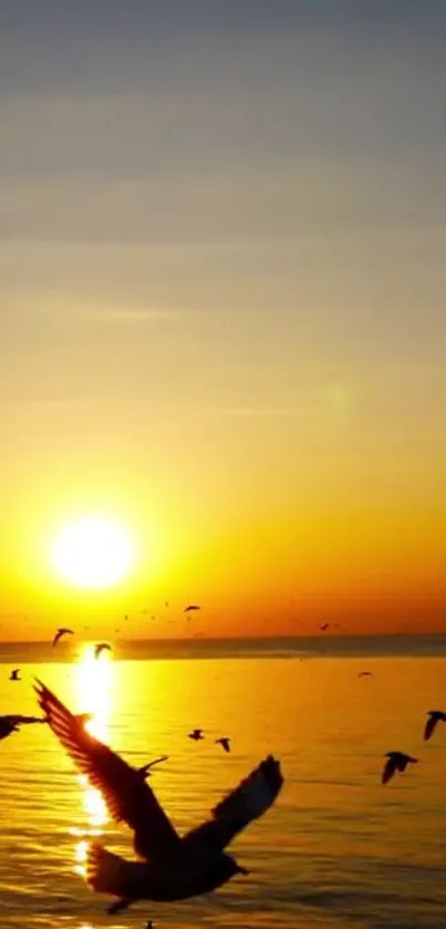 Sunset beach with birds flying across a golden horizon.