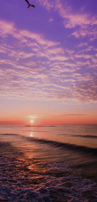 Serene purple sunset at the beach with calming ocean waves and a bird in the sky.