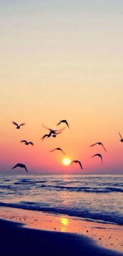 Serene sunset beach wallpaper with birds flying over calm ocean waves.