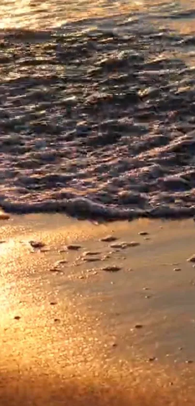 Golden sunset casting light on tranquil beach waves.