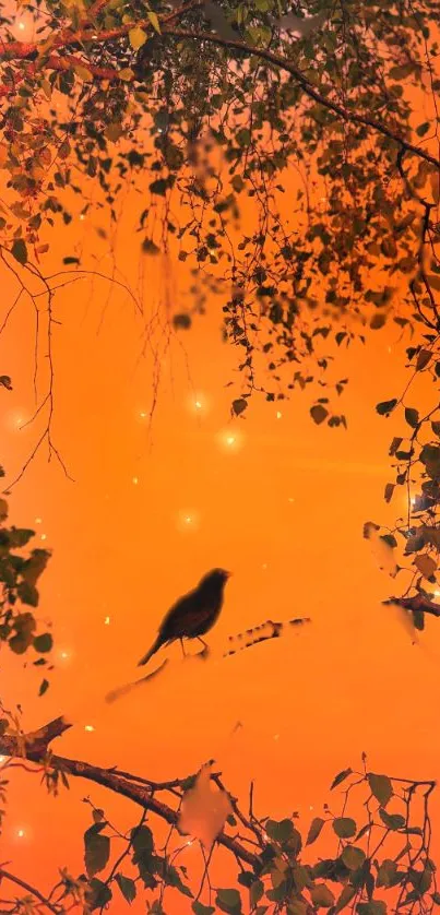 Silhouette of a bird on a branch against an orange sunset.