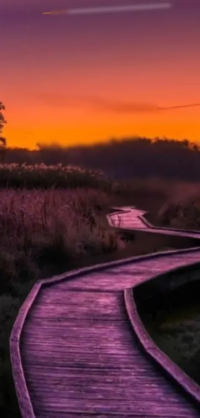 Scenic sunset boardwalk path surrounded by nature with vibrant evening sky.