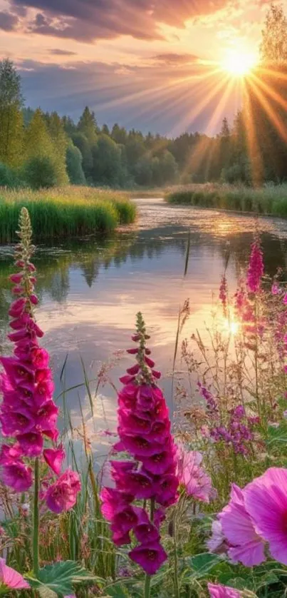 Sunset over a river with pink flowers in bloom.