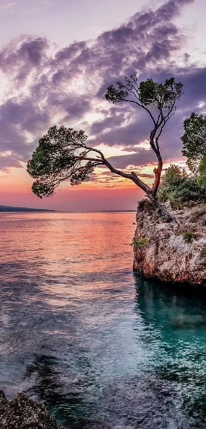 Serene coastal sunset with rocky outcrops and trees.