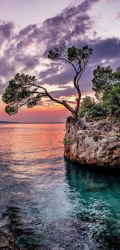 A solitary tree on a cliff at sunset with purple clouds and calm ocean waters.