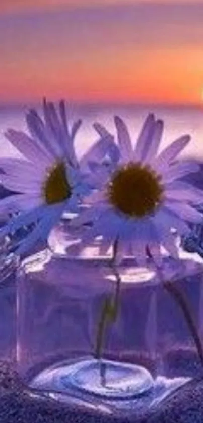 Daisy flowers in glass jar at sunset beach backdrop.