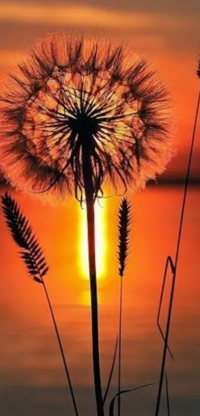 Dandelion silhouette against a vibrant sunset over a peaceful lake reflection.