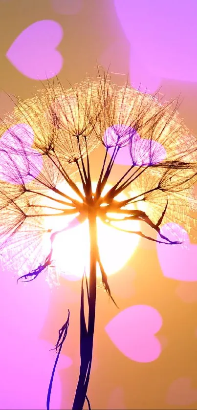 Dandelion silhouette against a golden sunset with glowing sun.