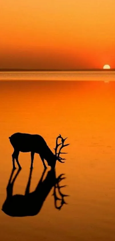 Silhouette of a deer against a vibrant orange sunset reflecting on calm water.