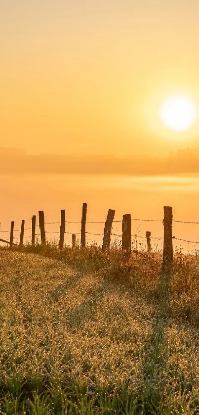 Serene sunset over grassy field with rustic fence.