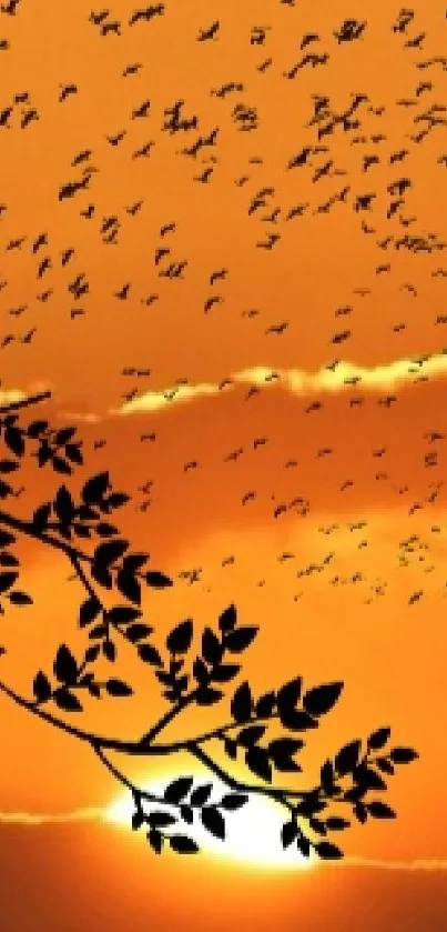 Bird flying at sunset against orange sky