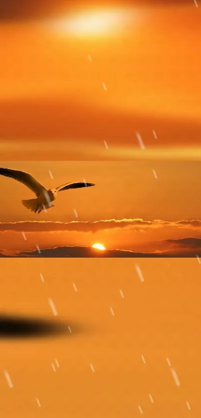 A serene sunset scene with a seagull in flight over the ocean.