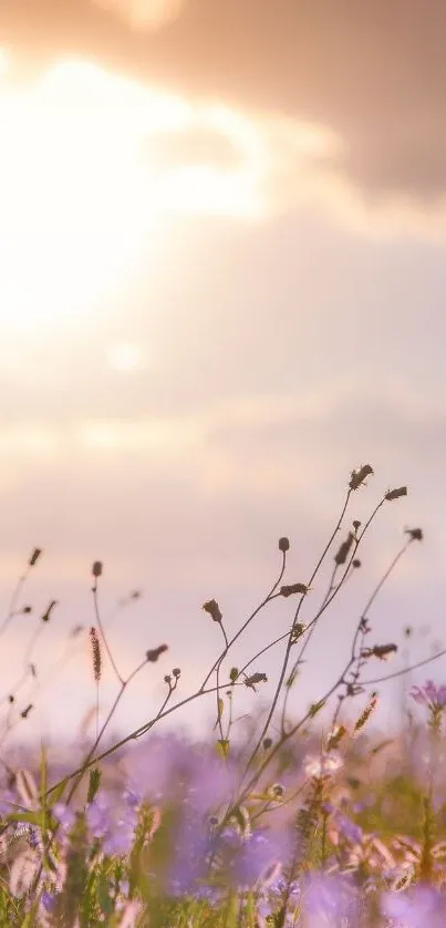 A serene sunset over a flower field with a pastel sky.