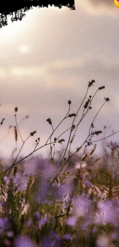 Serene sunset with silhouetted flowers and purple hues over a warm sky.