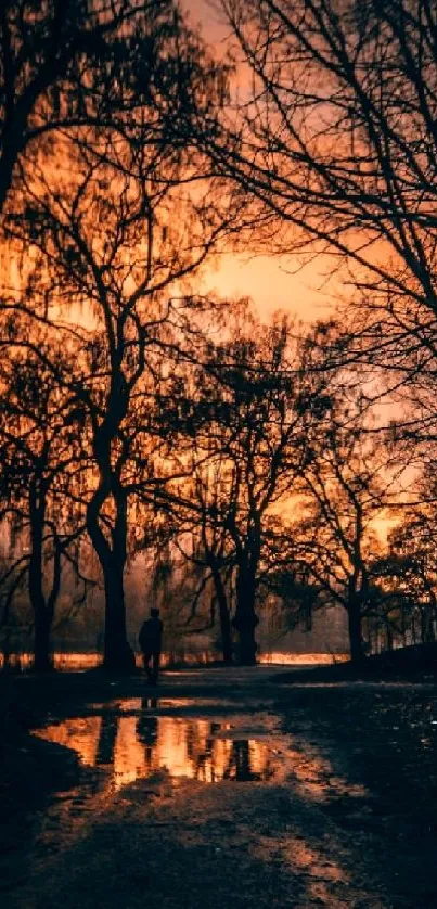 Serene sunset scene in a forest with reflective water.