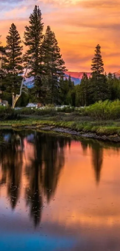 Sunset reflecting on a serene forest lake with vivid orange hues and tall trees.