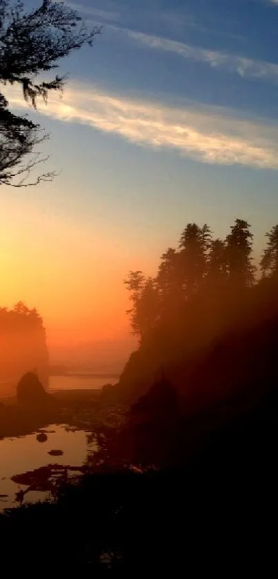 Sunset view through forest trees with vibrant colors.