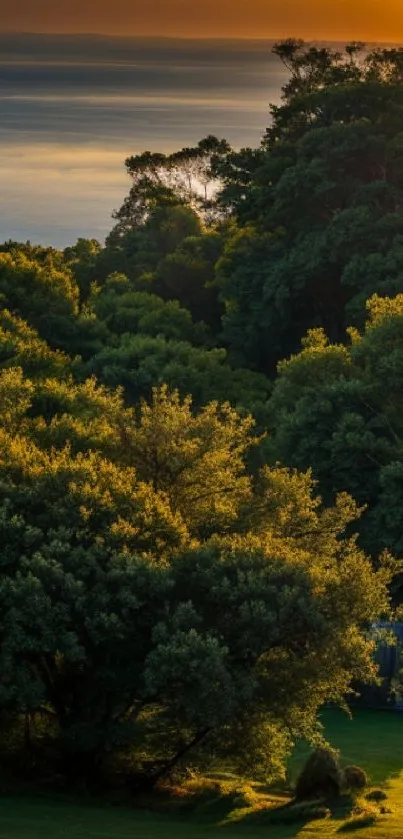 Tranquil forest scene with sunset and waterfall.