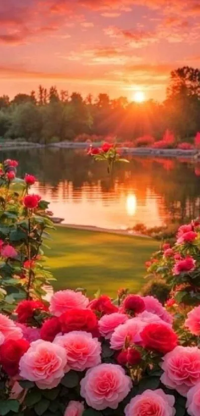 Blooming roses with sunset over a serene lake and garden.