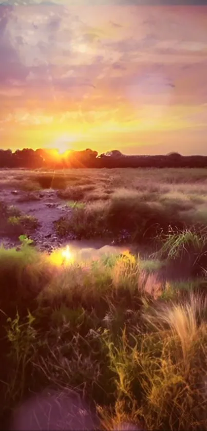 Tranquil sunset over a serene grassland, reflecting orange hues.