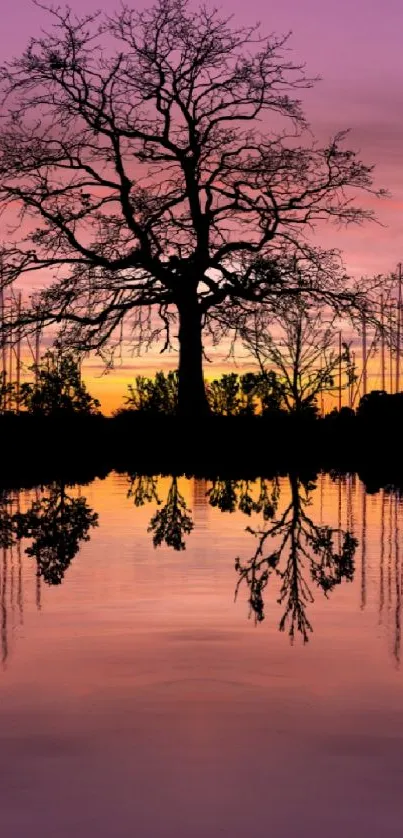 Serene sunset with tree reflection on a lake amid sailboats.