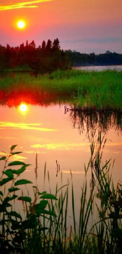 Vibrant sunset over a serene lake with reflections and lush greenery.