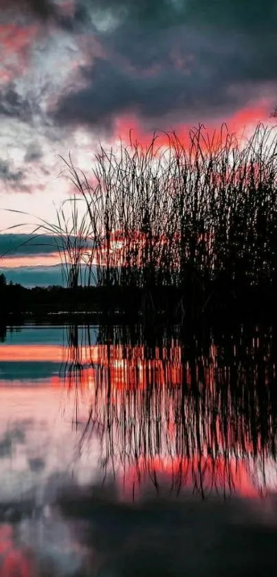 Sunset reflecting on a calm lake with tall reeds and dramatic clouds.