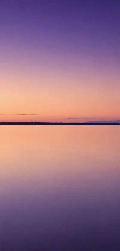 Serene sunset with a tree reflecting on a tranquil lake.