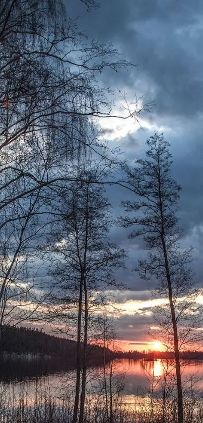 Serene sunset over a calm lake with trees silhouetted against the sky.