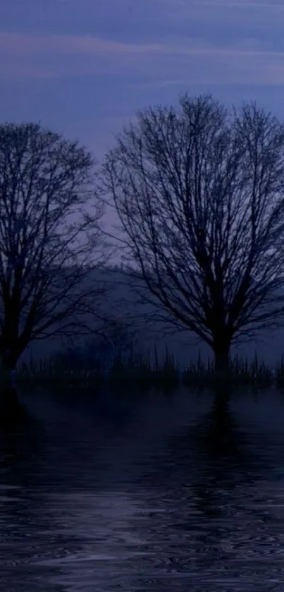 Tranquil lake with silhouetted trees at sunset.