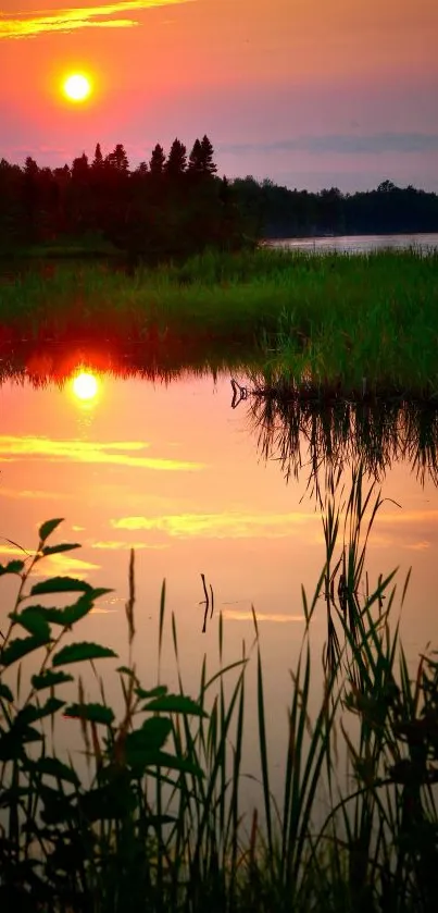 Tranquil sunset over a reflective lake with lush greenery.