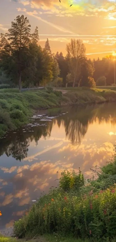 Serene sunset reflecting on a tranquil lake surrounded by lush greenery.