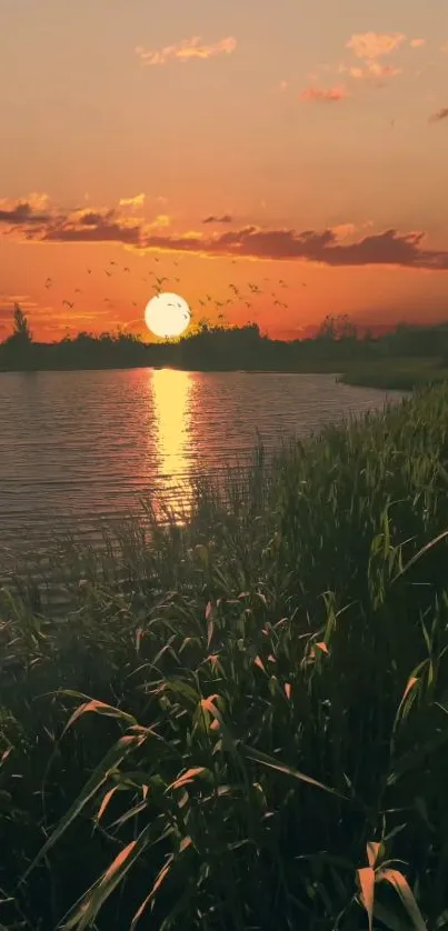 Serene sunset over a tranquil lake with vibrant colors and lush surroundings.