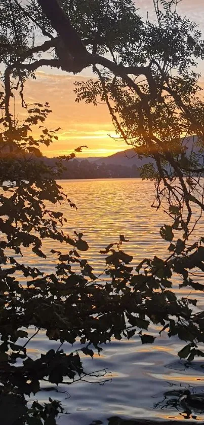 Serene lake view with sunset and trees framing the scene.