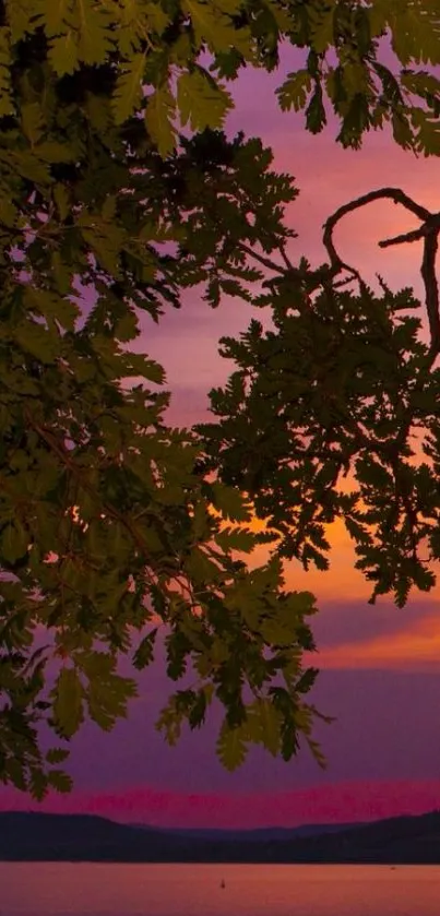 Serene sunset view over a calm lake with leaves silhouetted in the foreground.