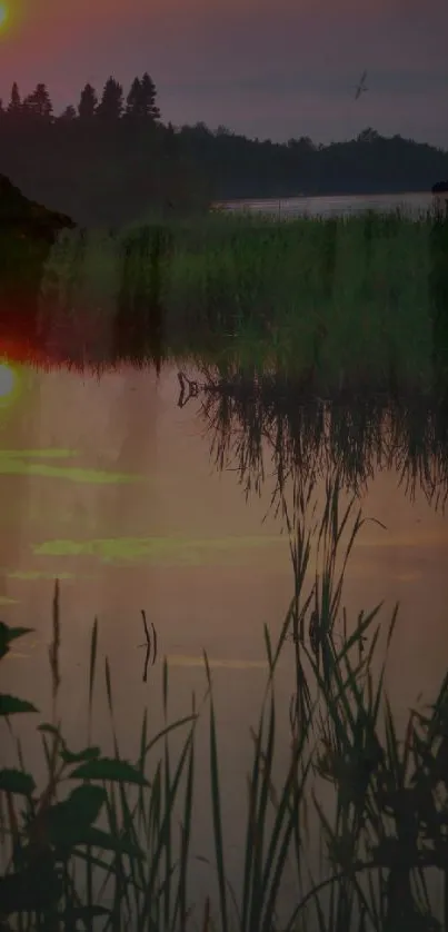 Serene sunset view over a tranquil lake with lush greenery.